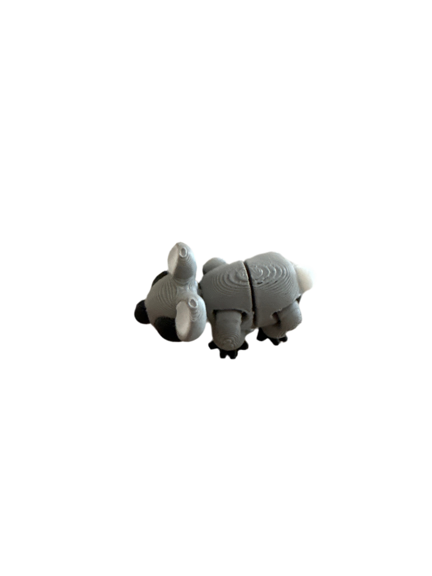 Koala-Articulating Animal